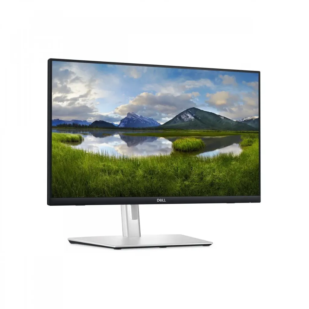 24 inch business class monitor